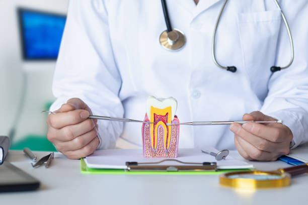 Best Same-Day Emergency Dental Services in Nroe City, MO